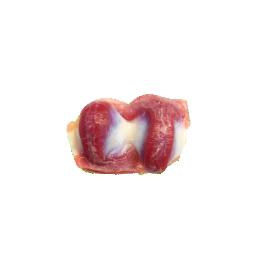 Gizzard