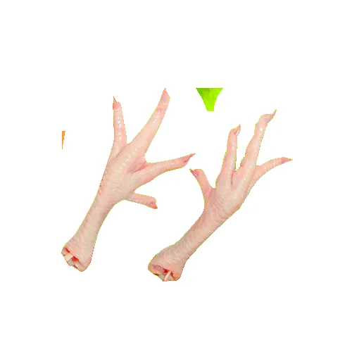 Chicken Feet A