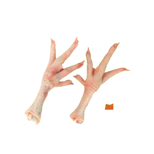 Chicken Feet B